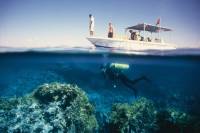 Extra Divers Aqaba