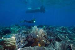 Extra Divers Cape Paperu Extra Divers Cape Paperu
