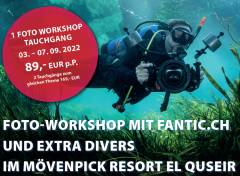 Foto Workshop im Mövenpick Resort El Quseir
