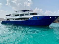 Oman Explorer 2027 – Deine nächste Tauchsafari wartet