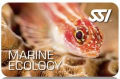 SSI Marine Ecology course for FREE SSI Marine Ecology course for FREE