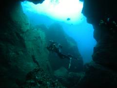 Diving Gran Canaria