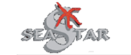 Sea Star Sea Star