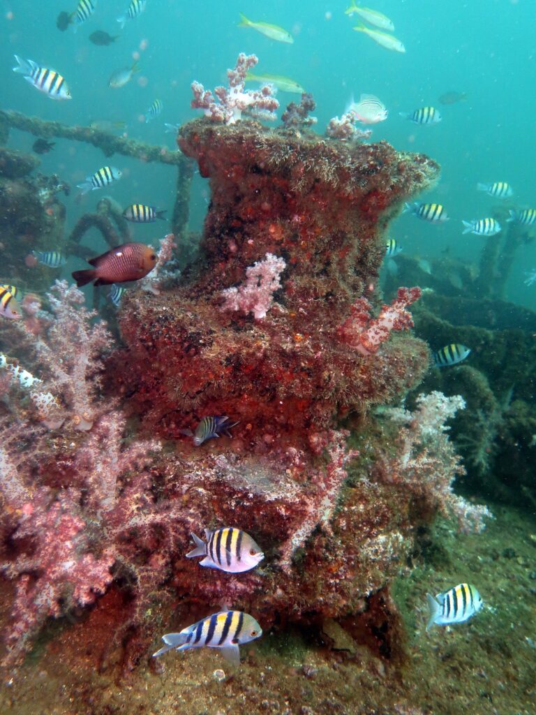 Al Munassir wreck