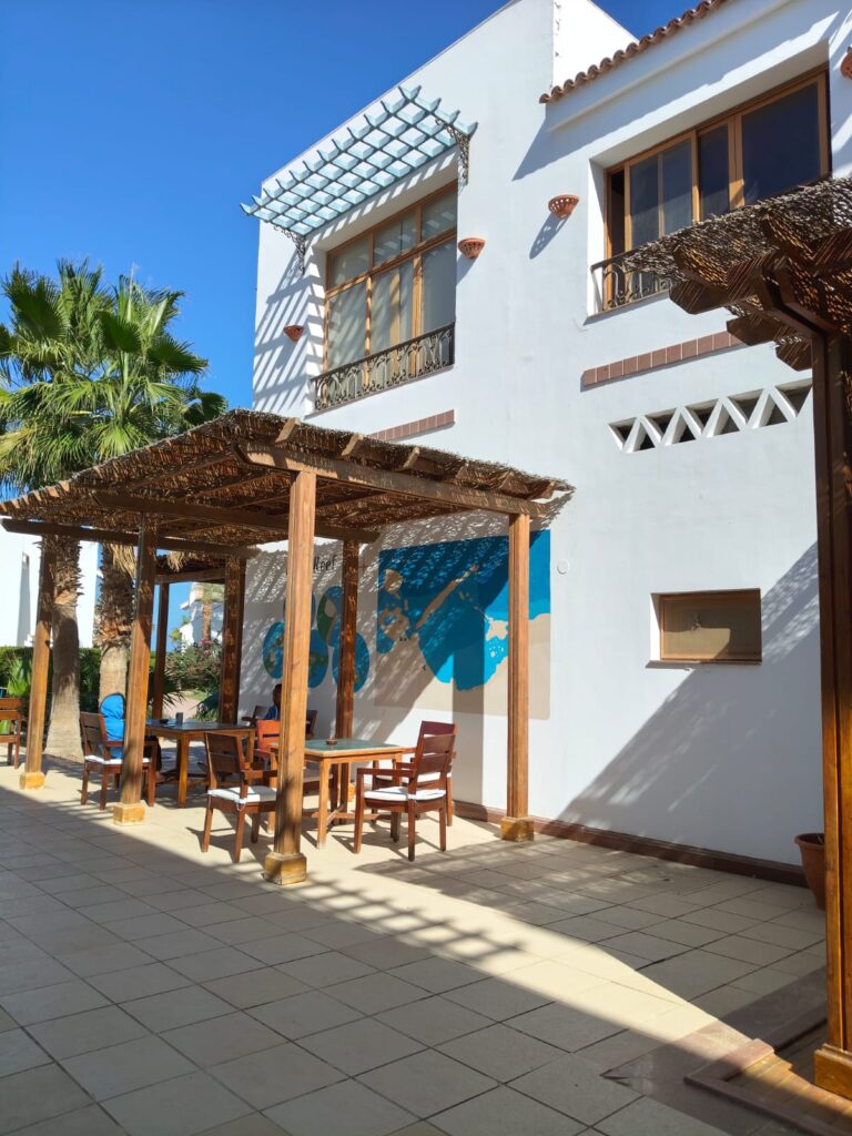 Extra Divers Lahami Bay (7)