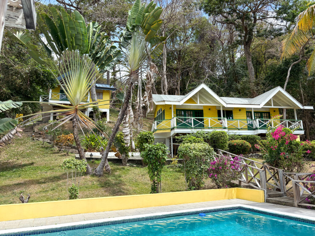 Pool & Bungalow